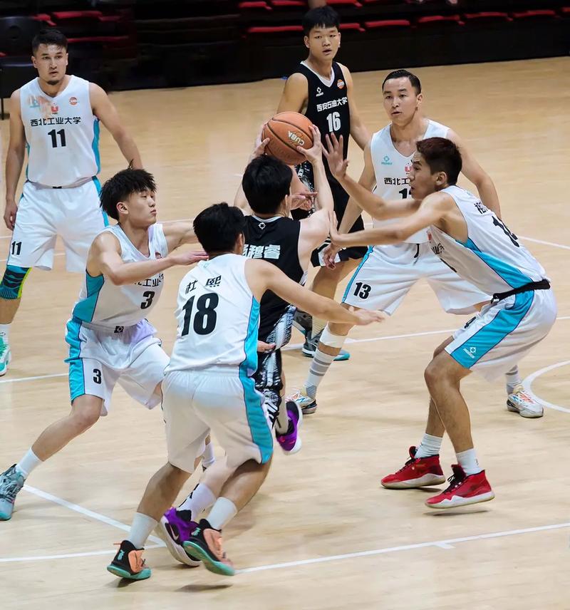 中国大学生篮球联赛官网