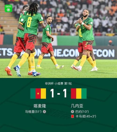 喀麦隆vs几内亚比分预测