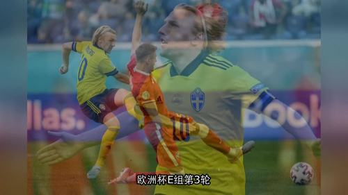 欧洲杯瑞典波兰体彩