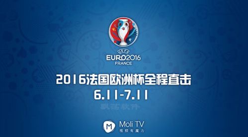 欧洲杯2016直播标题
