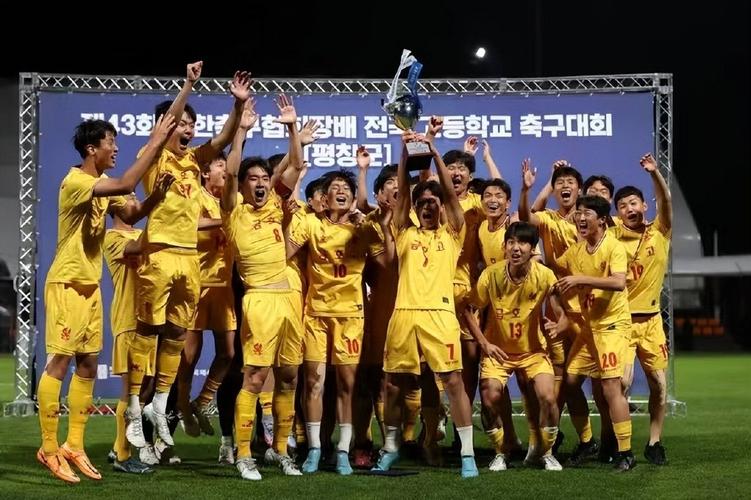 韩国足球联赛